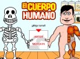 Huesos y Músculos del Cuerpo Humano