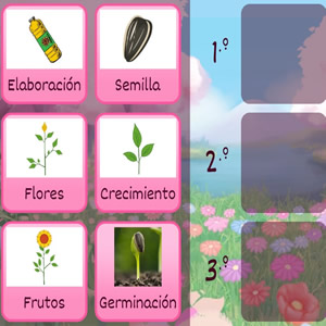 Juegos Educativos Online para Niños: Flores