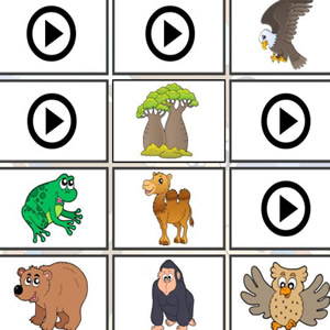 Aprende los Animales con juguetes para niños - Sonidos de animales y  nombres en ingles 